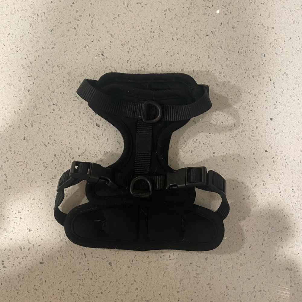 Wild one harness size XS